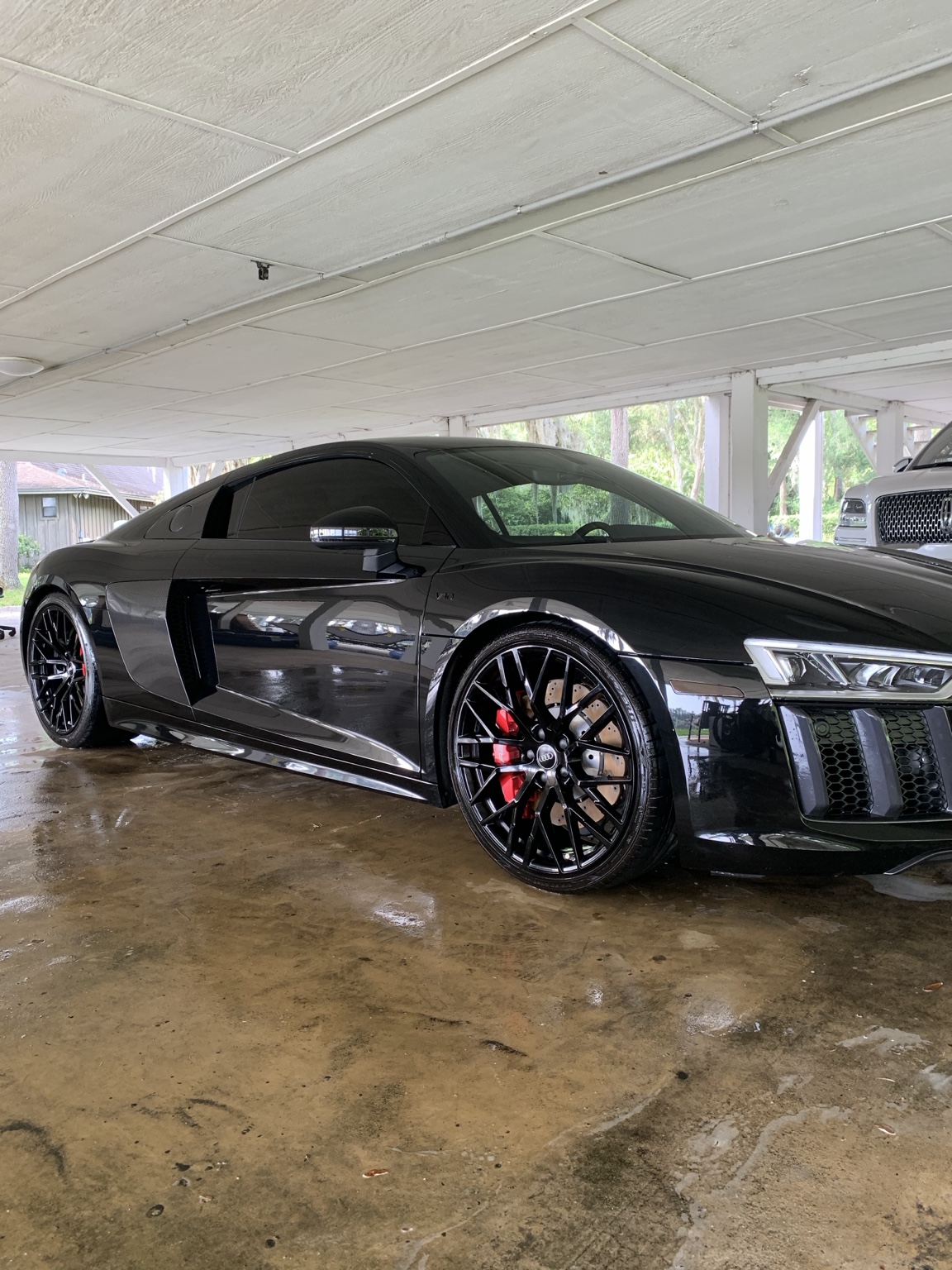 Black Audi R8 freshly detailed by Suncoast Sudz